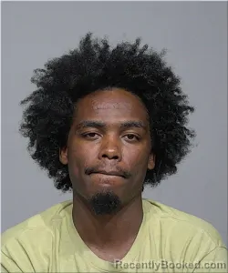 Mugshot of Jawan Sallis booked in Milwaukee County, Wisconsin on August 6, 2026