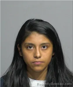 Mugshot of Esmeralda Flatcher booked in Milwaukee County, Wisconsin on August 7, 2026