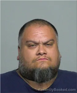 Mugshot of Michael Roman booked in Milwaukee County, Wisconsin on August 10, 2026