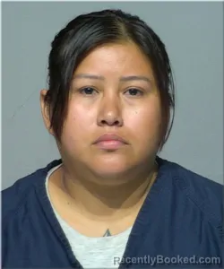 Mugshot of Olga Mendez Guamuch booked in Milwaukee County, Wisconsin on August 11, 2026