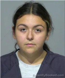 Mugshot of Analiese Rosales Garcia booked in Milwaukee County, Wisconsin on August 11, 2026