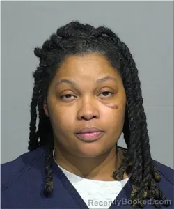 Mugshot of Roezetta Howard booked in Milwaukee County, Wisconsin on August 11, 2026