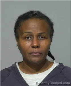 Mugshot of Theresa Robinson booked in Milwaukee County, Wisconsin on August 14, 2026