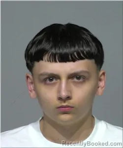 Mugshot of Ayden Zuelzke booked in Milwaukee County, Wisconsin on August 15, 2026