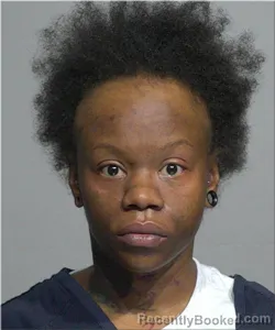 Mugshot of Brittney Wallace Haygood booked in Milwaukee County, Wisconsin on August 16, 2026