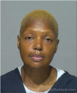 Mugshot of Pamela Mayfield booked in Milwaukee County, Wisconsin on August 17, 2026
