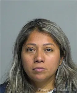 Mugshot of Elida Alavez-Alavez booked in Milwaukee County, Wisconsin on August 17, 2026