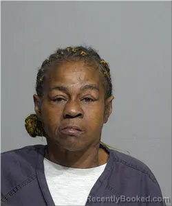 Mugshot of Sonya Turner booked in Milwaukee County, Wisconsin on August 24, 2026