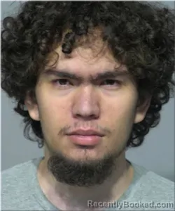 Booking photo from Milwaukee County, Wisconsin