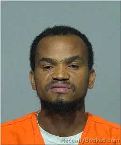 Mugshot of Davie Ngoy booked in Milwaukee County, Wisconsin on September 29, 2026