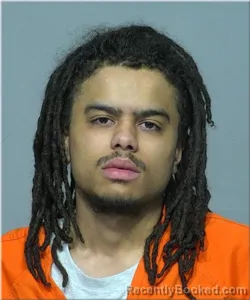 Mugshot of Ca'reale Harris Novak booked in Milwaukee County, Wisconsin on October 8, 2026