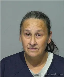 Mugshot of Lisa Basina booked in Milwaukee County, Wisconsin on October 10, 2026
