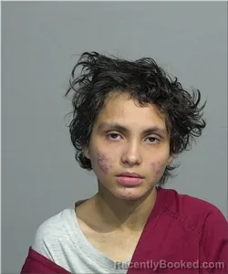 Mugshot of Sara Cruz-Reyes booked in Milwaukee County, Wisconsin on October 13, 2026