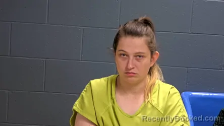 Mugshot of Brianna Faith Pickelsimer booked in Oconto County, Wisconsin on April 22, 2026