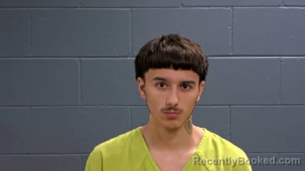 Mugshot of Elijah ML Carriveau
