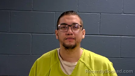 Mugshot of Elias E Skenandore