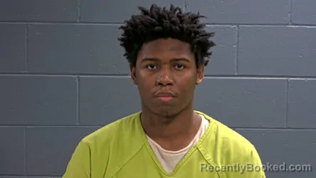 Mugshot of Terry D Craig