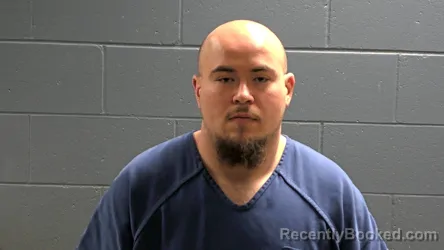 Mugshot of Levi James Mineau