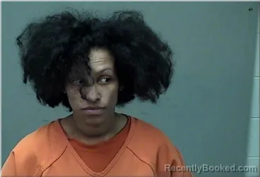 Mugshot of Diana Young