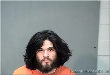 Mugshot of Brian Olson