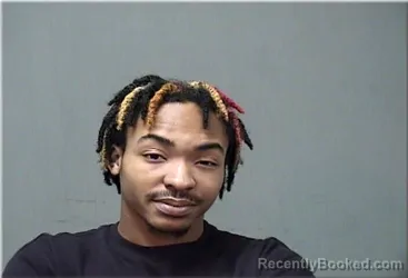 Mugshot of Lorence Ellis