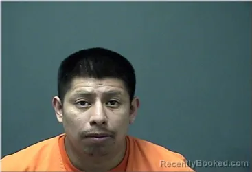 Mugshot of Luis Perez Martinez
