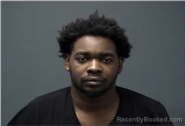 Mugshot of Danarli Williams-Wallace