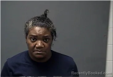 Mugshot of Erica Patel booked in Ozaukee County, Wisconsin on June 11, 2026