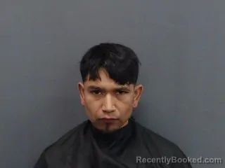 Booking photo from Gregg County, Texas