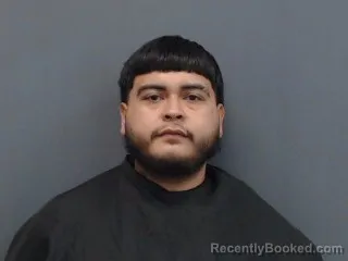 Mugshot of MARIO TORRES