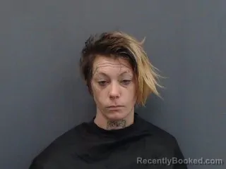 Mugshot of MEGAN ELAINE ROBINSON
