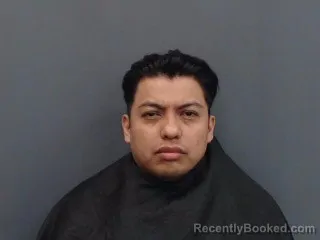 Mugshot of ROBERTO FAVIAN FLORES