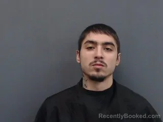 Mugshot of CAMERON PATTERSON