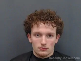 Mugshot of BRAILYN WAYNE MCHENRY