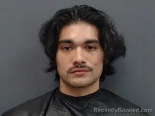 Booking photo from Gregg County, Texas