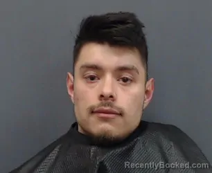 Booking photo from Gregg County, Texas