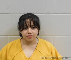Mugshot of Denia Karian Carranza Raymundo booked in Pierce County, Wisconsin on August 23, 2026