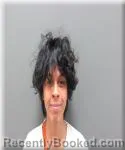 Mugshot of Christopher Flores