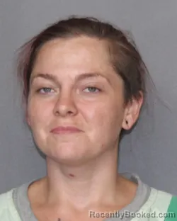 Mugshot of Megan Paige Hill