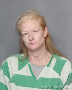 Mugshot of Heather Elizabeth Watters