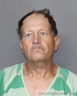 Mugshot of Robin Paul Haman