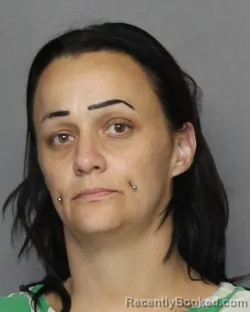 Mugshot of Sarah Mickey Lee