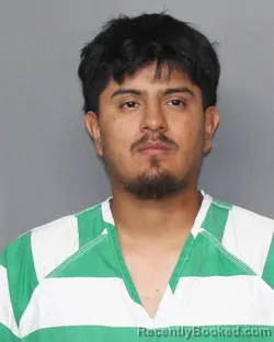 Mugshot of Martin Cardona booked in Grimes County, Texas on June 29, 2026