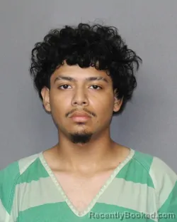 Mugshot of Henry Alexander Henriquez booked in Grimes County, Texas on July 30, 2026