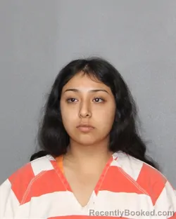 Mugshot of Brisy Santoy booked in Grimes County, Texas on August 27, 2026