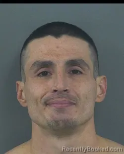 Mugshot of DERRICK ALLAN MCDANIEL