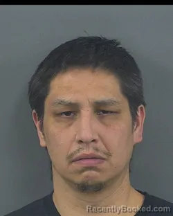 Mugshot of ANTHONY JAMES HOLLEN