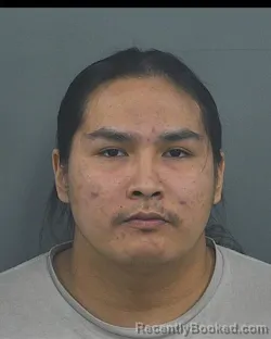 Mugshot of VINCE LEE WILLIAMS