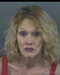 Mugshot of CINDY MARIE BURT