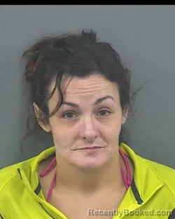 Mugshot of BRITTANY CHARLES FELTEN